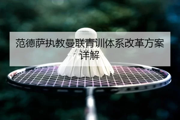 范德萨执教曼联青训体系改革方案详解